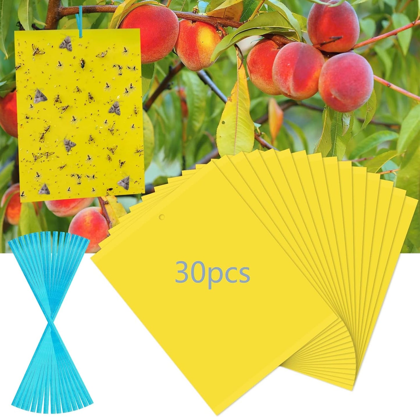 40 Pack Fungus Gnat Traps for House Indoor Yellow Sticky Traps for Gnats Sticky Traps for Plants, Dual-Sided Fungus Gnat Sticky Traps Fruit Fly Traps for Indoors