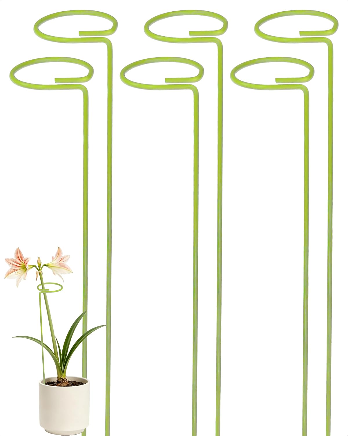 12-Pack Plant Support Stakes for Indoor Plants, Monstera Plant Support & Tall Sticks, Heavy Duty Adjustable 15.8-Inch Garden Stakes for Amaryllis, Snake Plant, Indoor Outdoor Use