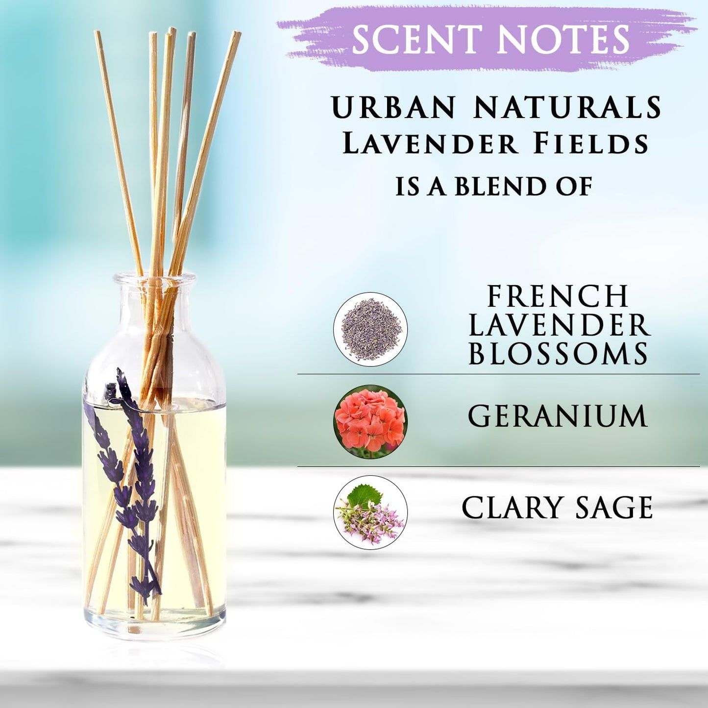 Urban Naturals Smoked Vanilla Reed Diffuser Set with Vanilla Bean, Sandalwood & Leather | Made in the USA - Colors B