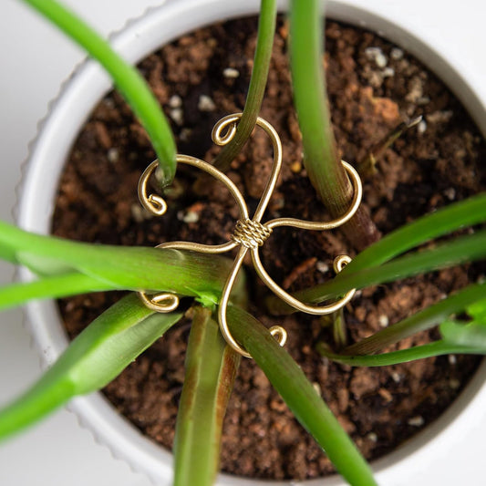 5PCS Monstera Plant Stem Support Stakes - 5.5 * 5.5IN Metal Supports for Monstera and Fishbone Cactus, Sturdy Frame, Easy Installation, Flexible Protection for Healthy Growth Indoors