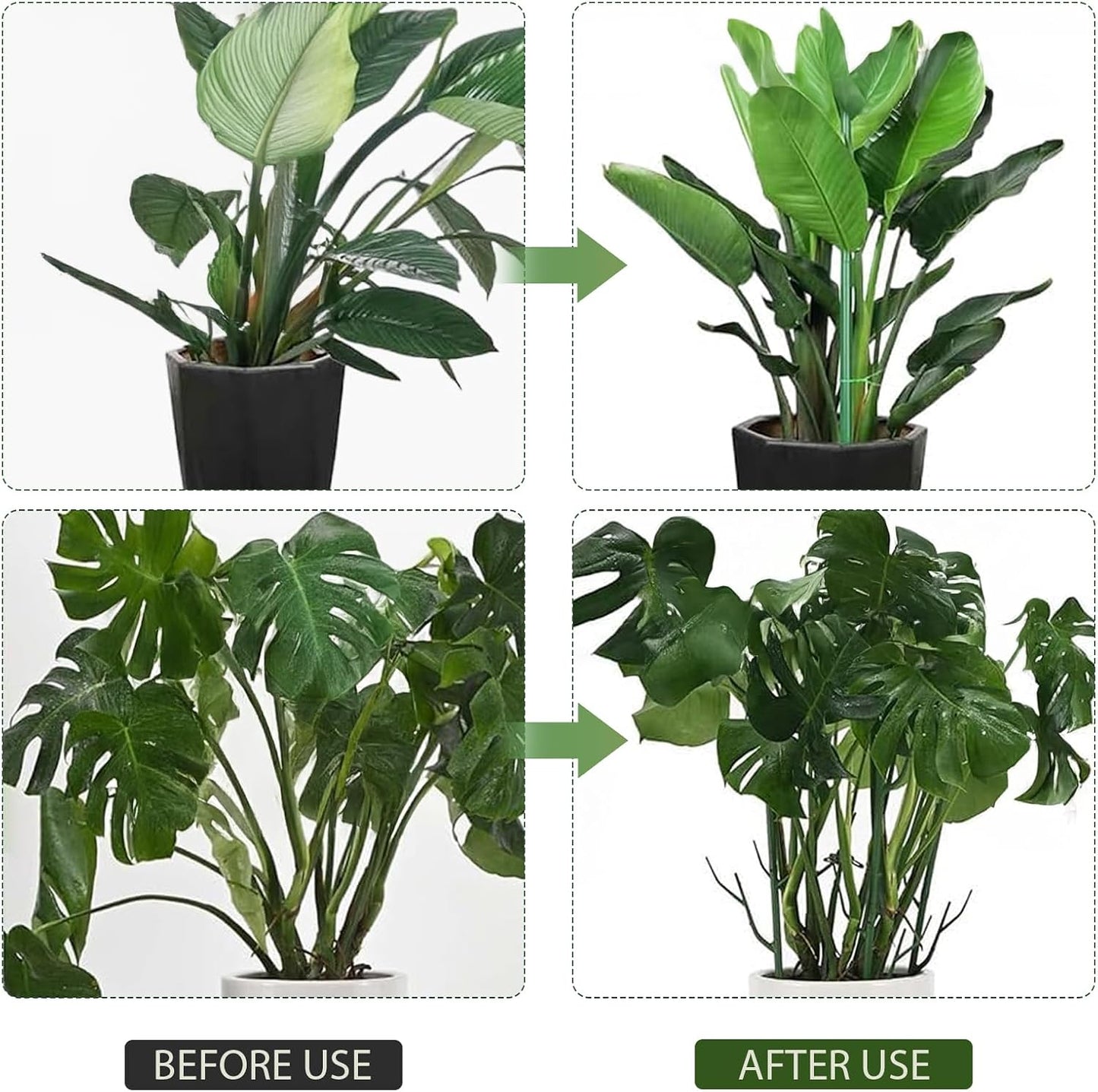 5 Pack Stackable Monstera Plant Support, 2025 New Plant Stakes for Indoor and Outdoor Plants Use, Garden Stakes for Climbing and Potted Plants, Pothos, Philodendron (5 Pack)