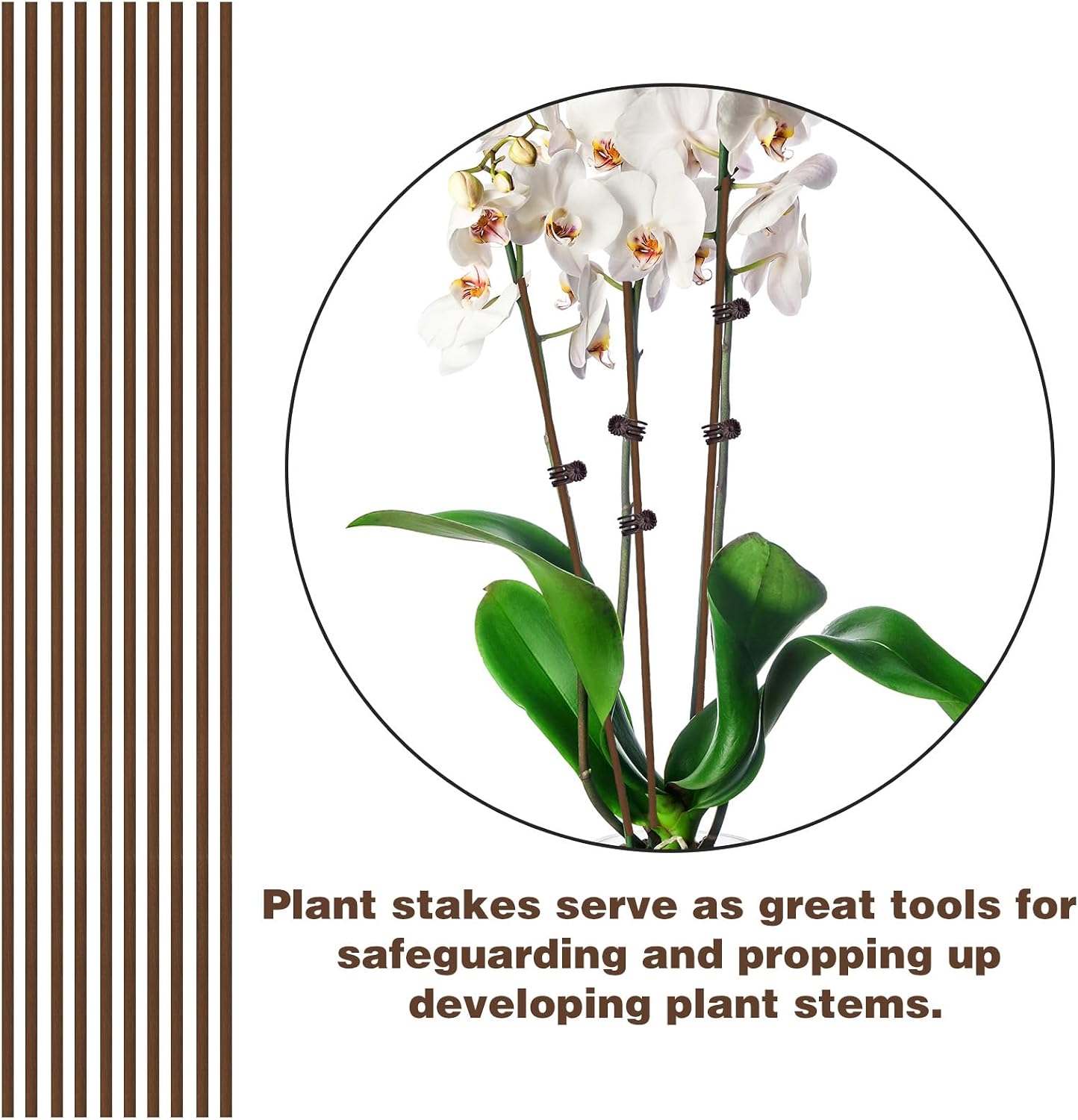 10pcs Green Plant Support Stakes with 15pcs Clips, Bendable Stakes for Tall Plants, Indoor & Outdoor Use