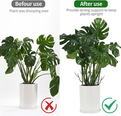 Yhtpouqe 12 Pack Plant Support Stakes, Plant Stakes for Indoor and Outdoor Plants. 39.37inch Plant Sticks with Extension Poles, Plant Clips, Plant Ties for Potted Monstera Plants, Climbing Plants
