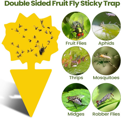 200 Sheets Fruit Fly Sticky Traps for Fruit Fly Gnat Trap for House Indoors Sticky Traps Catcher for Gnats Fungus Gnats Mosquito Catcher for Kitchen Outdoor Plants(Yellow)