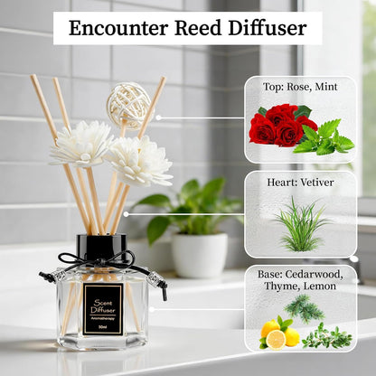 TonJin Reed Diffuser Set of 2 | 1.7 fl oz Natural Home Fragrance with Sticks | Long-Lasting Scented Sticks for Bathroom, Living Room & Bedroom | Non-Toxic Essential Oil Air Freshener Shangri-La