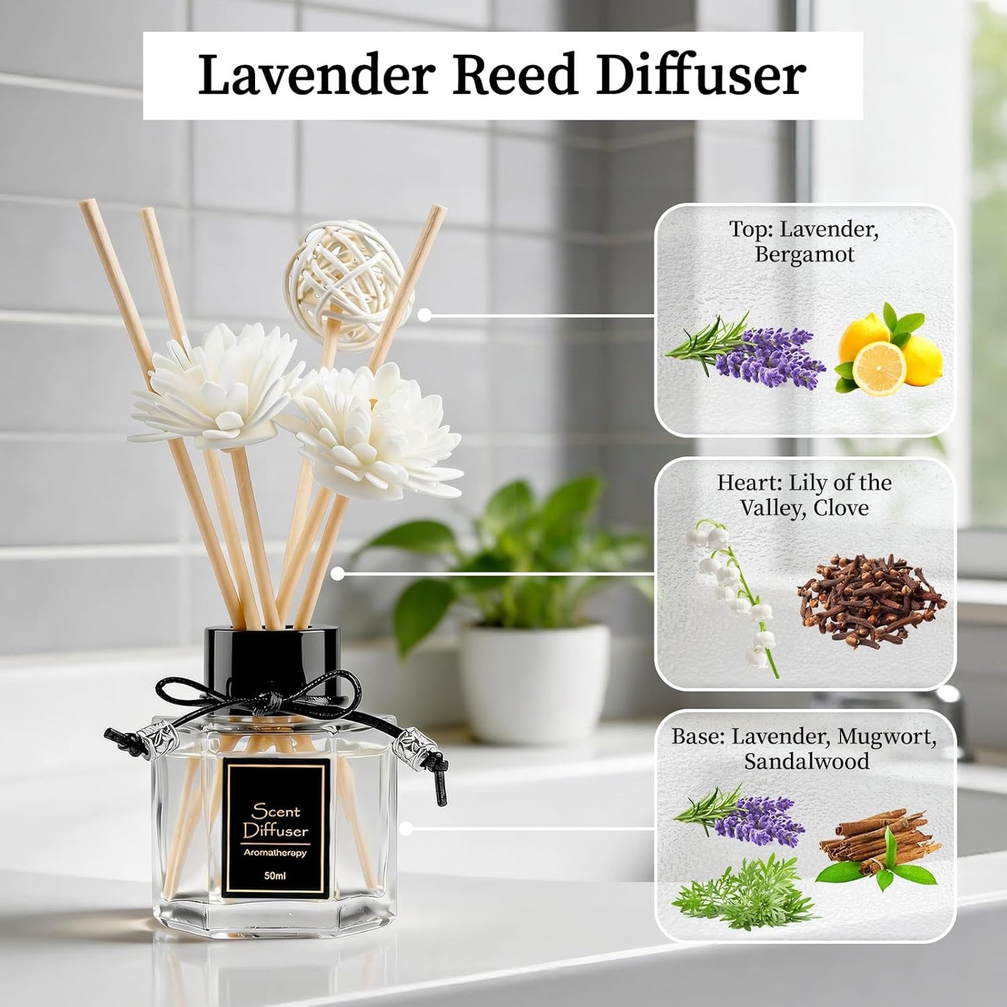 TonJin Reed Diffuser Set of 2 | 1.7 fl oz Natural Home Fragrance with Sticks | Long-Lasting Scented Sticks for Bathroom, Living Room & Bedroom | Non-Toxic Essential Oil Air Freshener Shangri-La