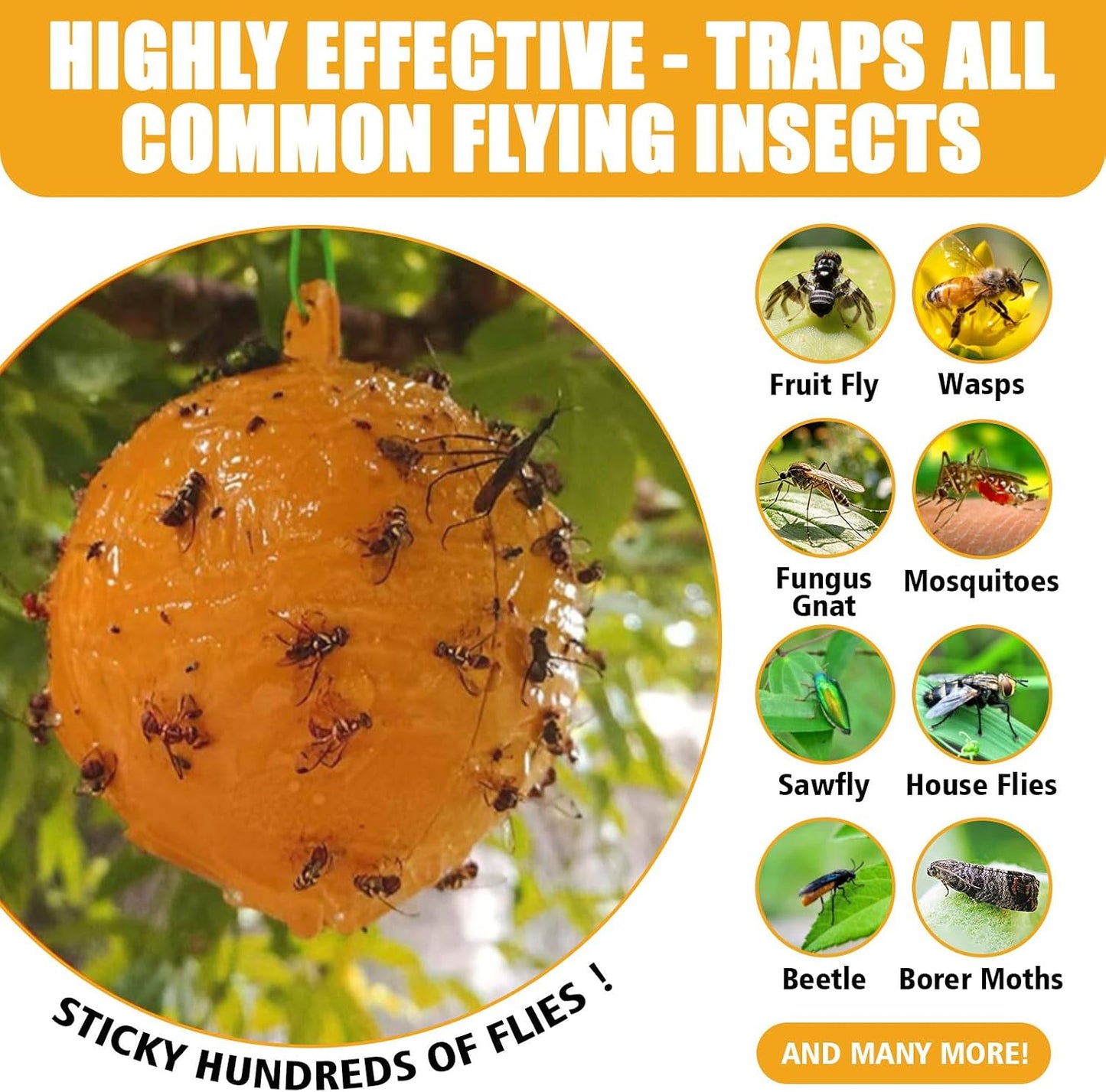 Sticky Insect Trap Ball Osseph Fruit Fly Trap Balls for Indoor Outdoor | Physical Sticky Hanging Bug Ball Catches Flie Gnat Mosquitoe Flying Insects 6pack (Green)