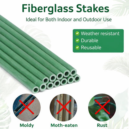 Plant Stakes 12 Inch, 12-Pack Stackable Plant Support Stakes with 12 Clips, Extendable Plant Holder Sticks for Tomato, Orchid, Monstera, Indoor Outdoor Plants (12)