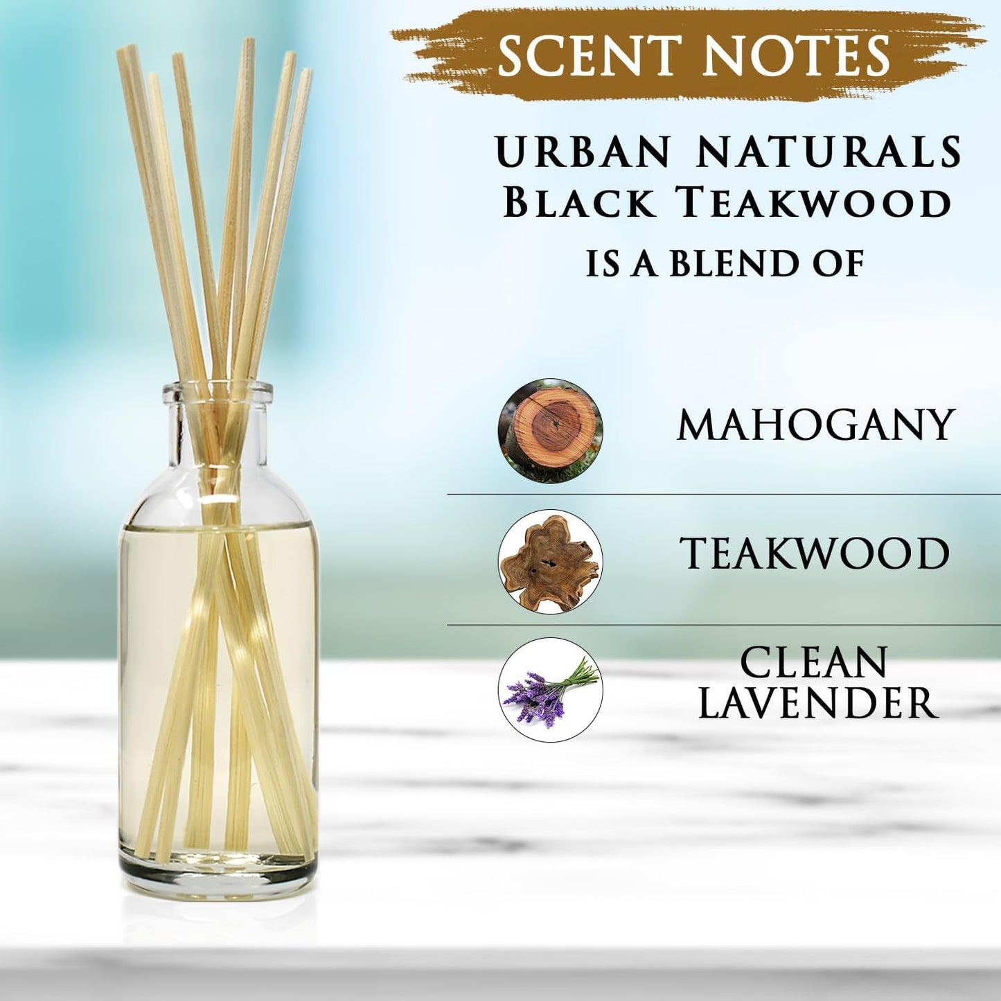 Urban Naturals Smoked Vanilla Reed Diffuser Set with Vanilla Bean, Sandalwood & Leather | Made in the USA - Colors A