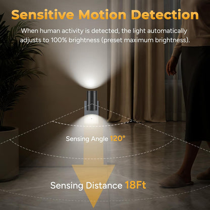 LED Motion Sensor Night Light,Motion Activated Night Light & Dusk to Dawn Sensor Night Light Plug into Wall 5-300LM Adjustable Brightness,5000K Daylight,for Kitchen,Hallway Bedroom,Stairs, 2 Pack