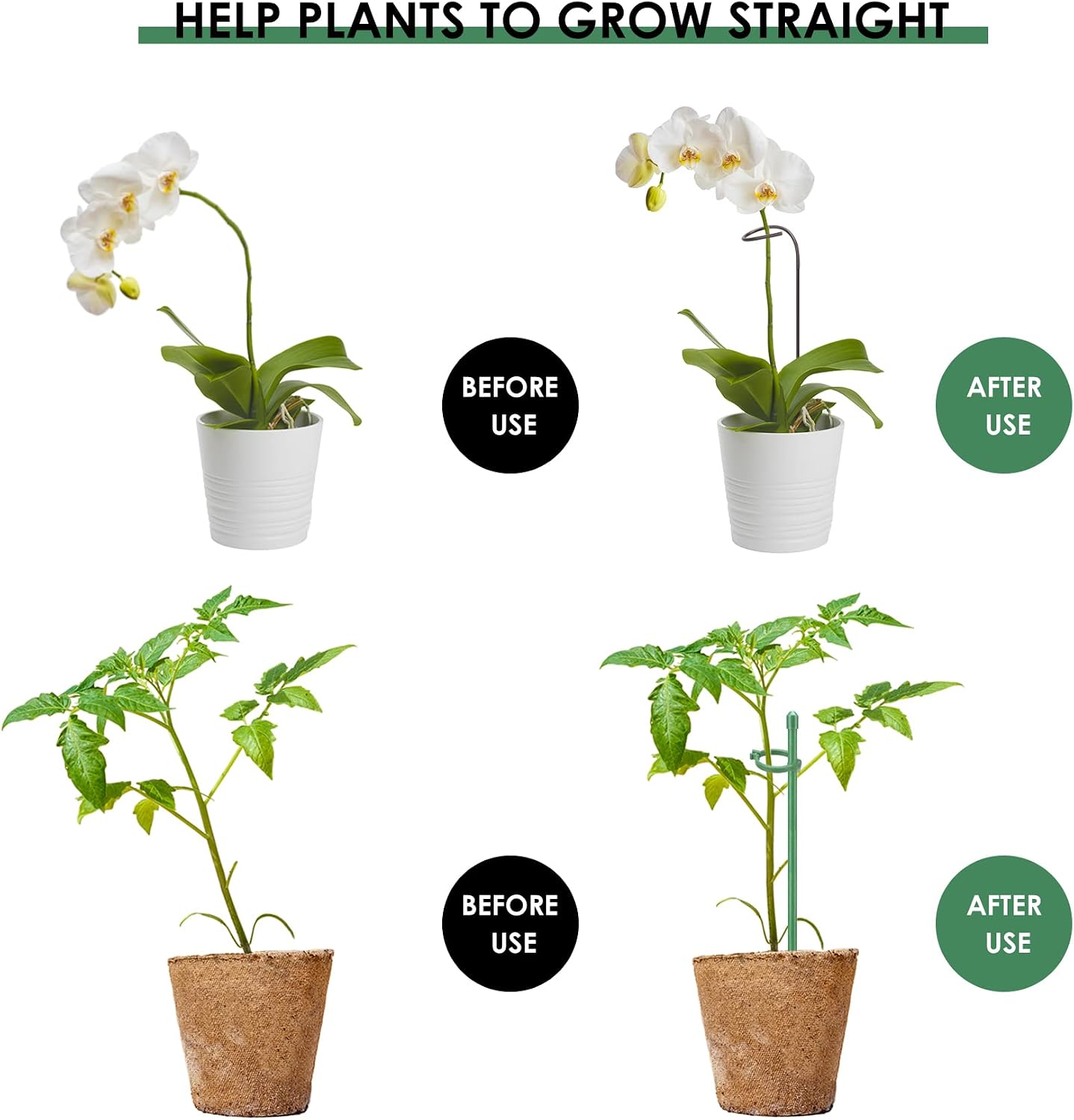 20 Set Plant Stakes 12 inch Extendable Plant Support Stakes with Adjustable Clips Rings, Flower Stem Plant Support Sticks for Indoor Outdoor Plants Stabilizer Garden Sticks for Orchid Rose Tomato