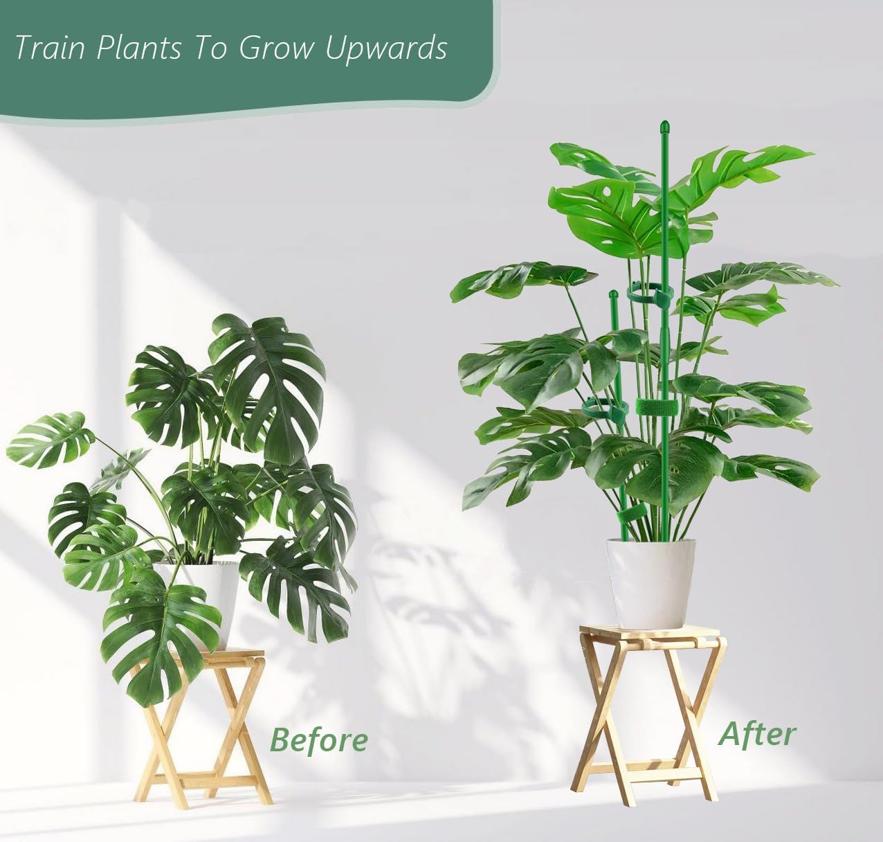 10Pcs Plant Support Stakes 17inch &11inch,Toylin Adjustable Length Plant Support Stake Orchid Stick with Clips for Indoor Outdoor,Garden Pole for Potted Orchid Tomato Vegetables