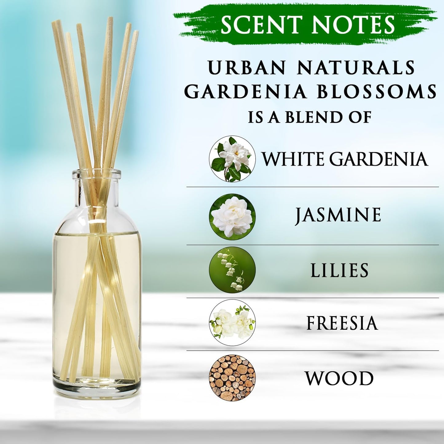 Urban Naturals Smoked Vanilla Reed Diffuser Set with Vanilla Bean, Sandalwood & Leather | Made in the USA - Colors B