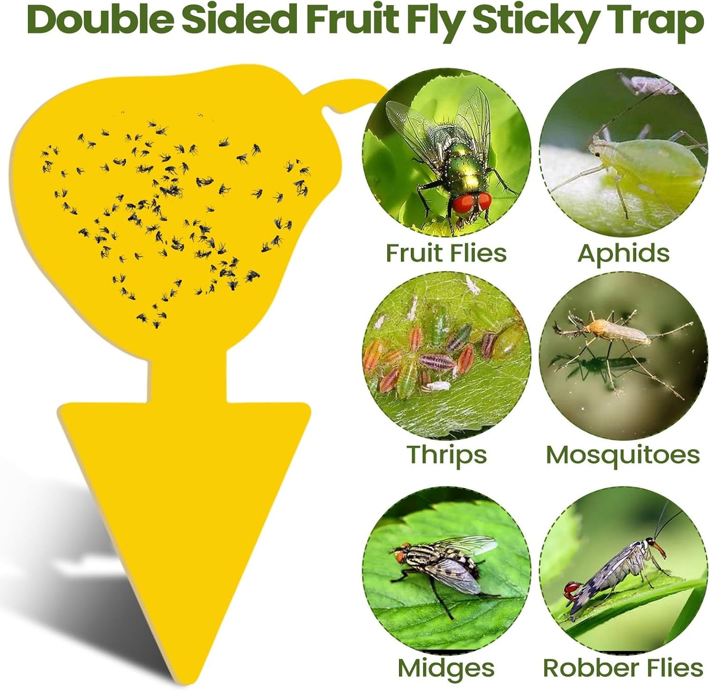 200 Sheets Fruit Fly Sticky Traps for Fruit Fly Gnat Trap for House Indoors Sticky Traps Catcher for Gnats Fungus Gnats Mosquito Catcher for Kitchen Outdoor Plants(Yellow)