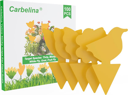 Yellow Sticky Traps for Plant Gnats, 100PCS Fungus Gnat Trap | for Gnat, Fruit Fly, Flying Insects, Bug, Waterproof, Non-Toxic Indoor Outdoor Use for Houseplants, Pots, Garden & Kitchen