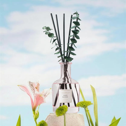 COCORRÍNA Wild Mint & Eucalyptus Reed Diffuser – 6.76 oz Essential Oil with 8 Reeds & Real Eucalyptus Sticks, Home Fragrance for Bedroom or Bathroom Décor