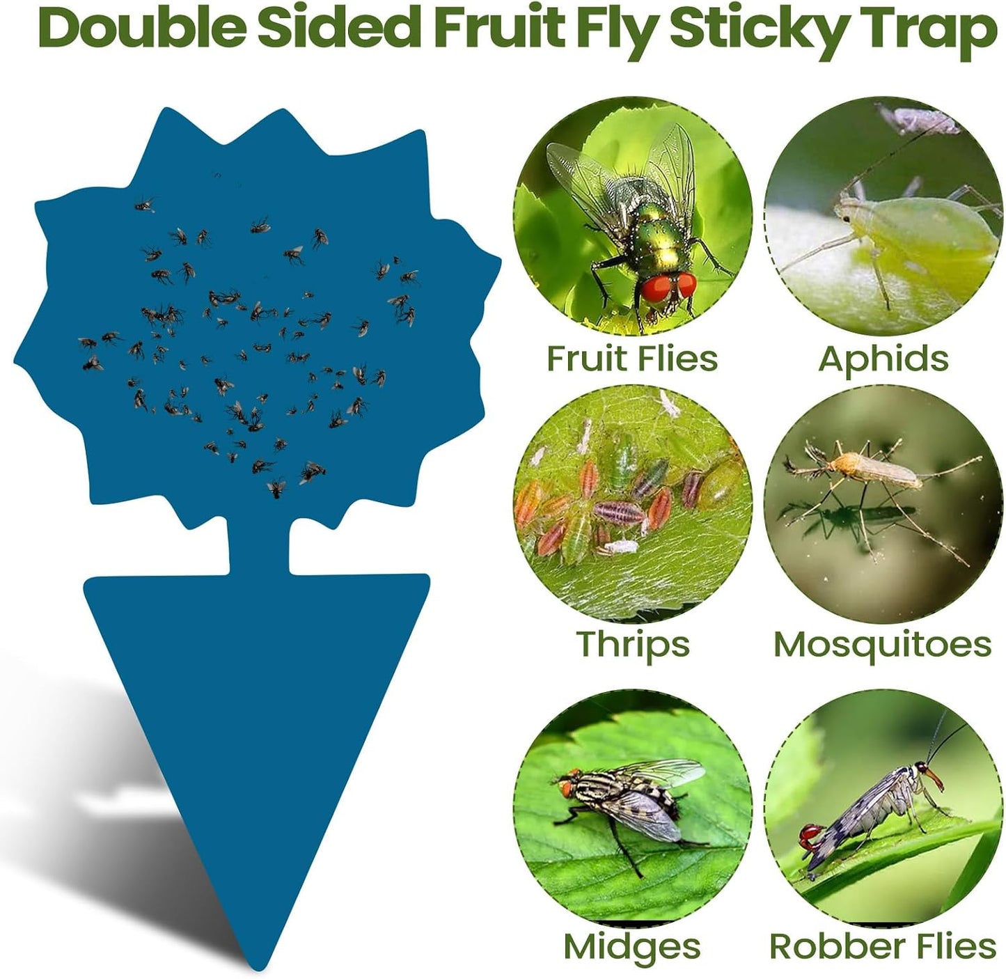 200 Sheets Fruit Fly Sticky Traps for Fruit Fly Gnat Trap for House Indoors Sticky Traps Catcher for Gnats Fungus Gnats Mosquito Catcher for Kitchen Outdoor Plants(Yellow)