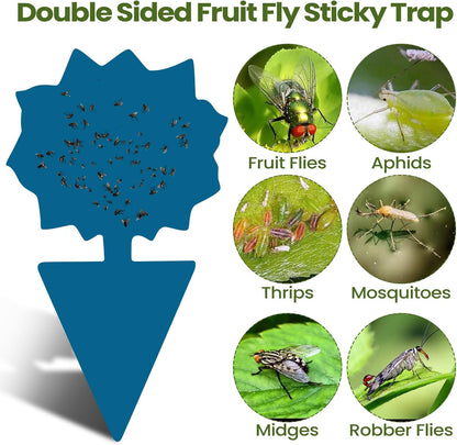 200 Sheets Fruit Fly Sticky Traps for Fruit Fly Gnat Trap for House Indoors Sticky Traps Catcher for Gnats Fungus Gnats Mosquito Catcher for Kitchen Outdoor Plants(Yellow)