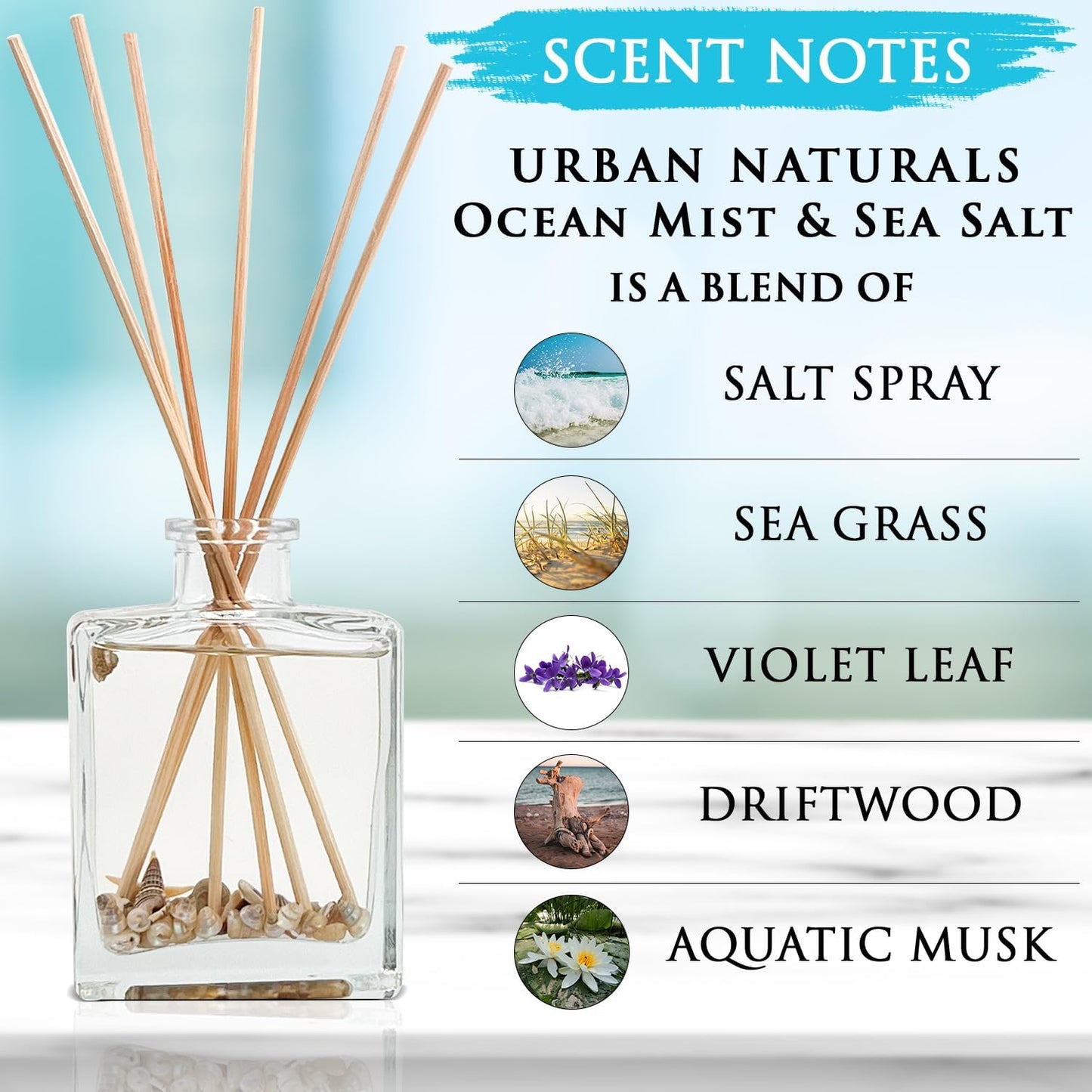 Urban Naturals Smoked Vanilla Reed Diffuser Set with Vanilla Bean, Sandalwood & Leather – 5 Ounce Sleek Black Rectangular Refillable Glass Bottle – Made in the USA