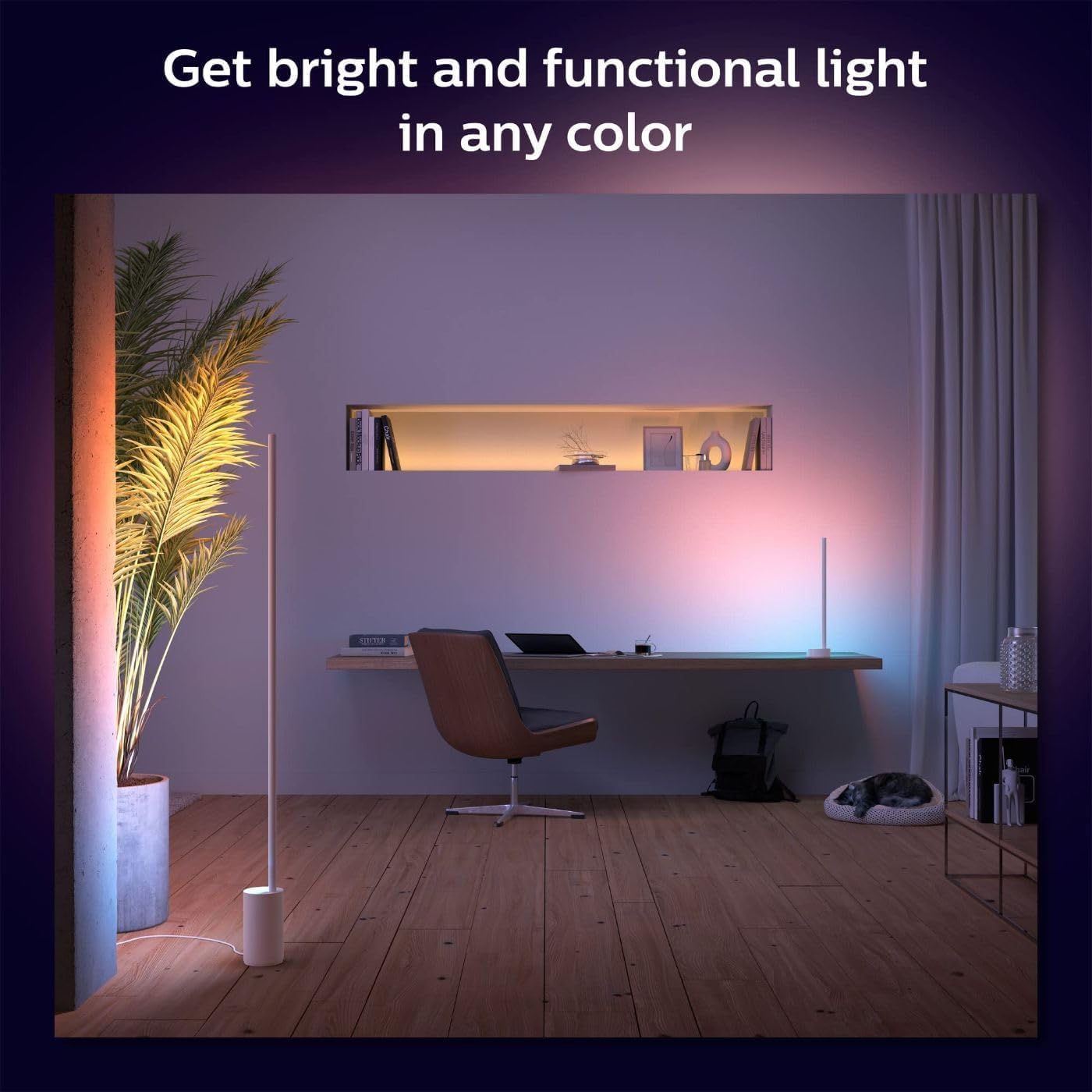 Philips Hue Signe Smart Table Lamp, Black, 1 Pack, White & Color Ambiance LED Color-Changing Light, Control LED Lamp with Hue App, Works with Alexa, Google Assistant, Apple HomeKit