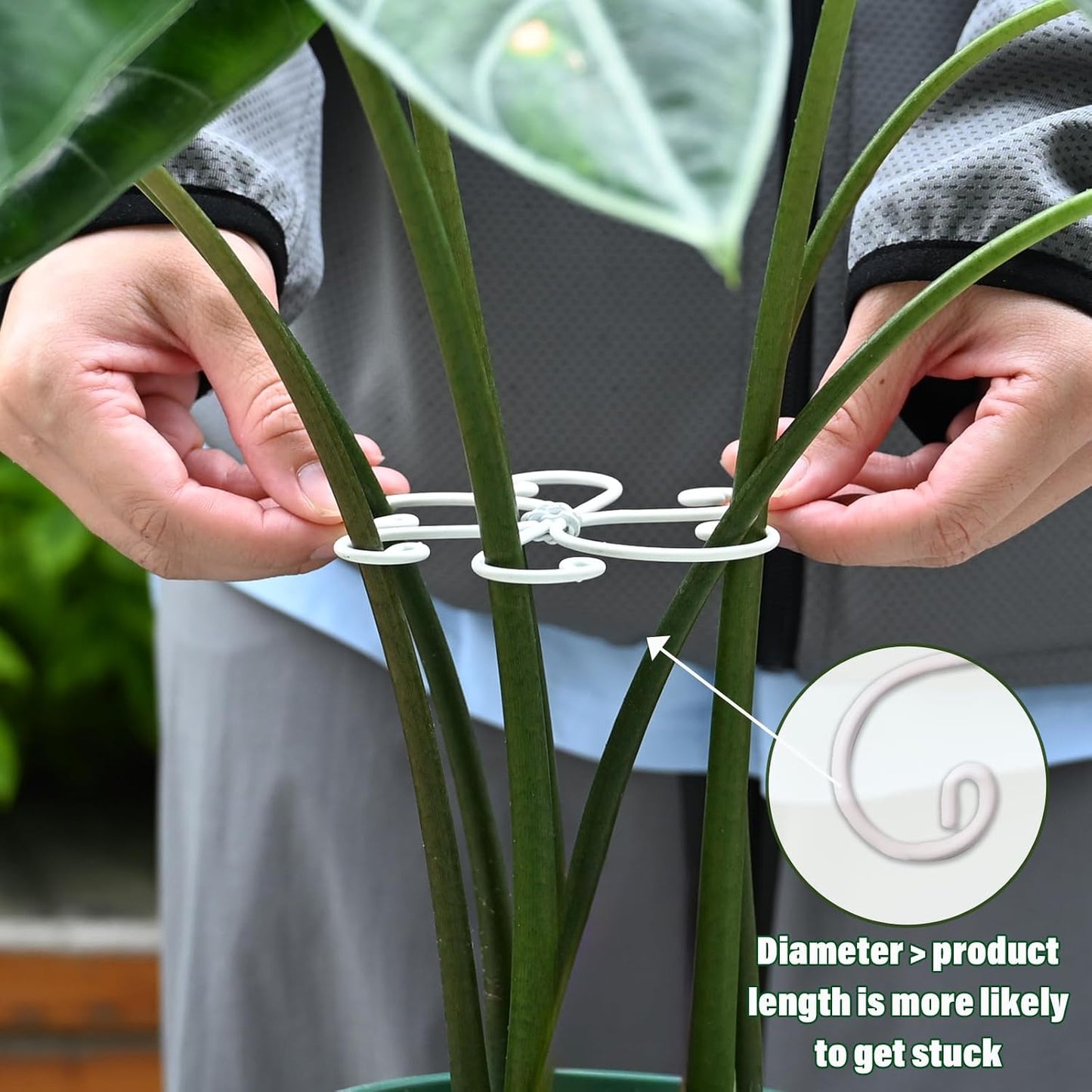 Yohsnor Monstera Plant Stem Support System - 5 Piece Set (5.5x4.7in) | Durable Plant Support Stakes for Climbing Plants & Fishbone Cactus | Ideal Leaf Stabilizer for Indoor Plants & Monstera Care