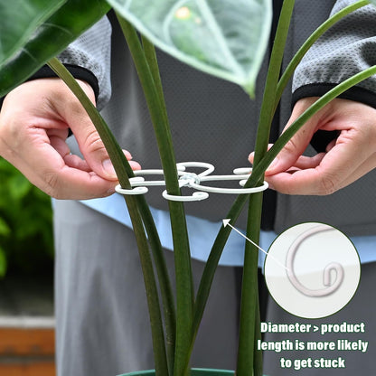 Yohsnor Monstera Plant Stem Support System - 5 Piece Set (5.5x4.7in) | Durable Plant Support Stakes for Climbing Plants & Fishbone Cactus | Ideal Leaf Stabilizer for Indoor Plants & Monstera Care