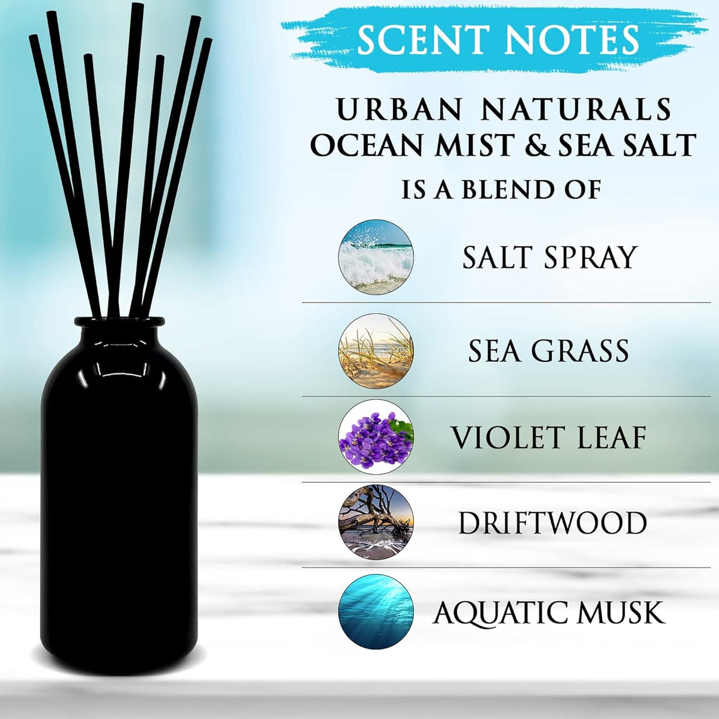 Urban Naturals Smoked Vanilla Reed Diffuser Set with Vanilla Bean, Sandalwood & Leather | Made in the USA - Colors C