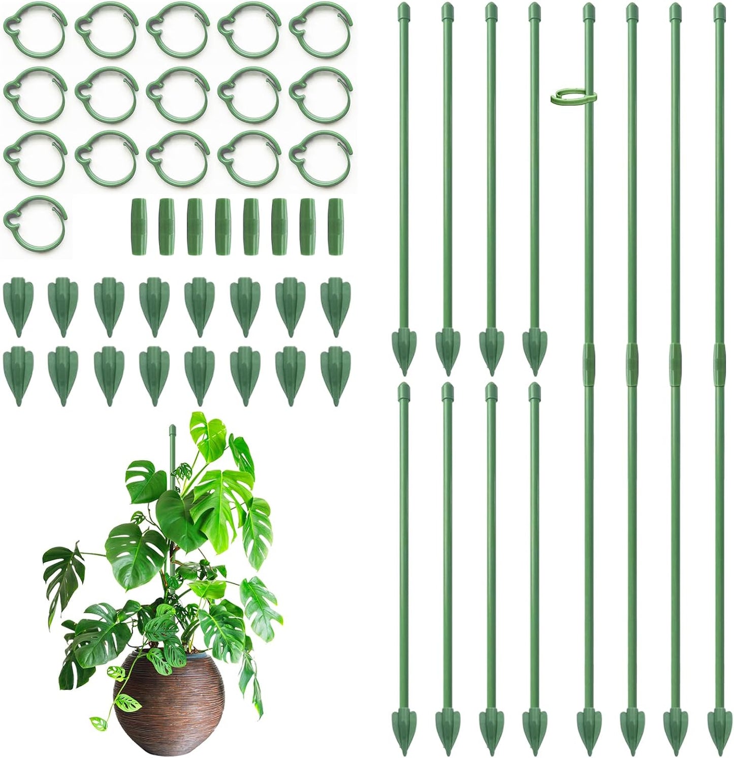 RIFNY Plant Stakes for Indoor Plants, 12 Inch Plant Support Stakes with Clips, Tall Adjustable Plant Sticks for Indoor Monstera Tomato Orchid Potted Plants Flower (10 PCS, Green)