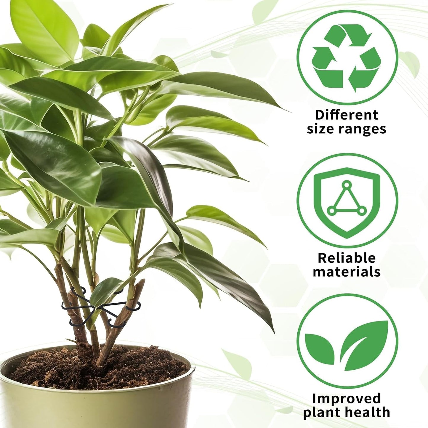 AUGSHY 12 Pcs Plant Stem Holders, Plastic Invisible Plant Support Stakes Indoor Reusable Climbing Houseplant Stem Supports Hook Growth Accessories for Indoor Home Garden
