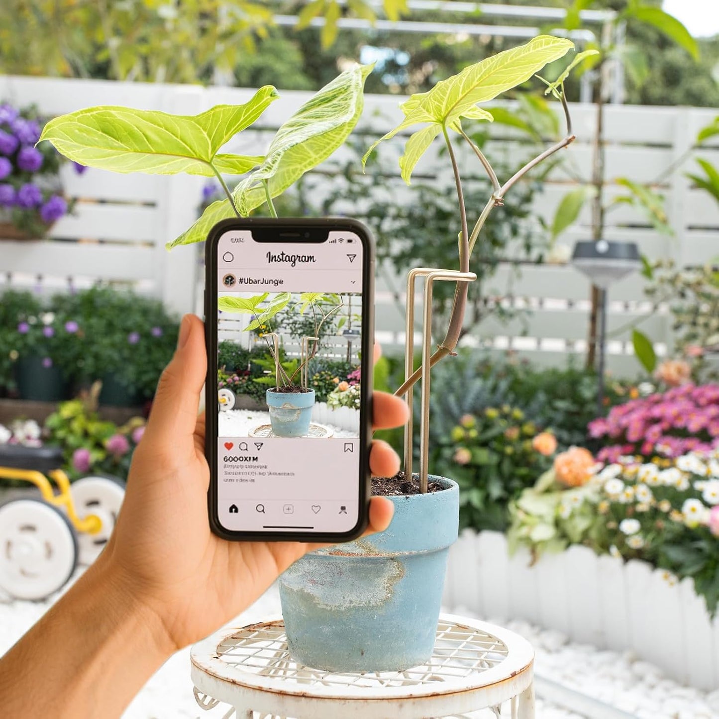 10 Pack Indoor Plant Support for Monstera Trellis Stakes and Stem Holder - Perfect for Small Indoor Plants, Desktop Gardens & Flower Shelf Use, Easy to Set Up and Efficient Support