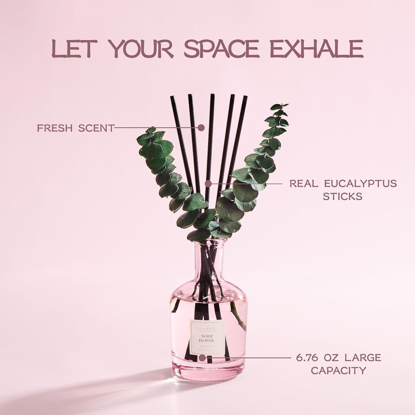 COCORRÍNA Wild Mint & Eucalyptus Reed Diffuser – 6.76 oz Essential Oil with 8 Reeds & Real Eucalyptus Sticks, Home Fragrance for Bedroom or Bathroom Décor