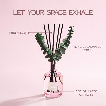 COCORRÍNA Wild Mint & Eucalyptus Reed Diffuser – 6.76 oz Essential Oil with 8 Reeds & Real Eucalyptus Sticks, Home Fragrance for Bedroom or Bathroom Décor