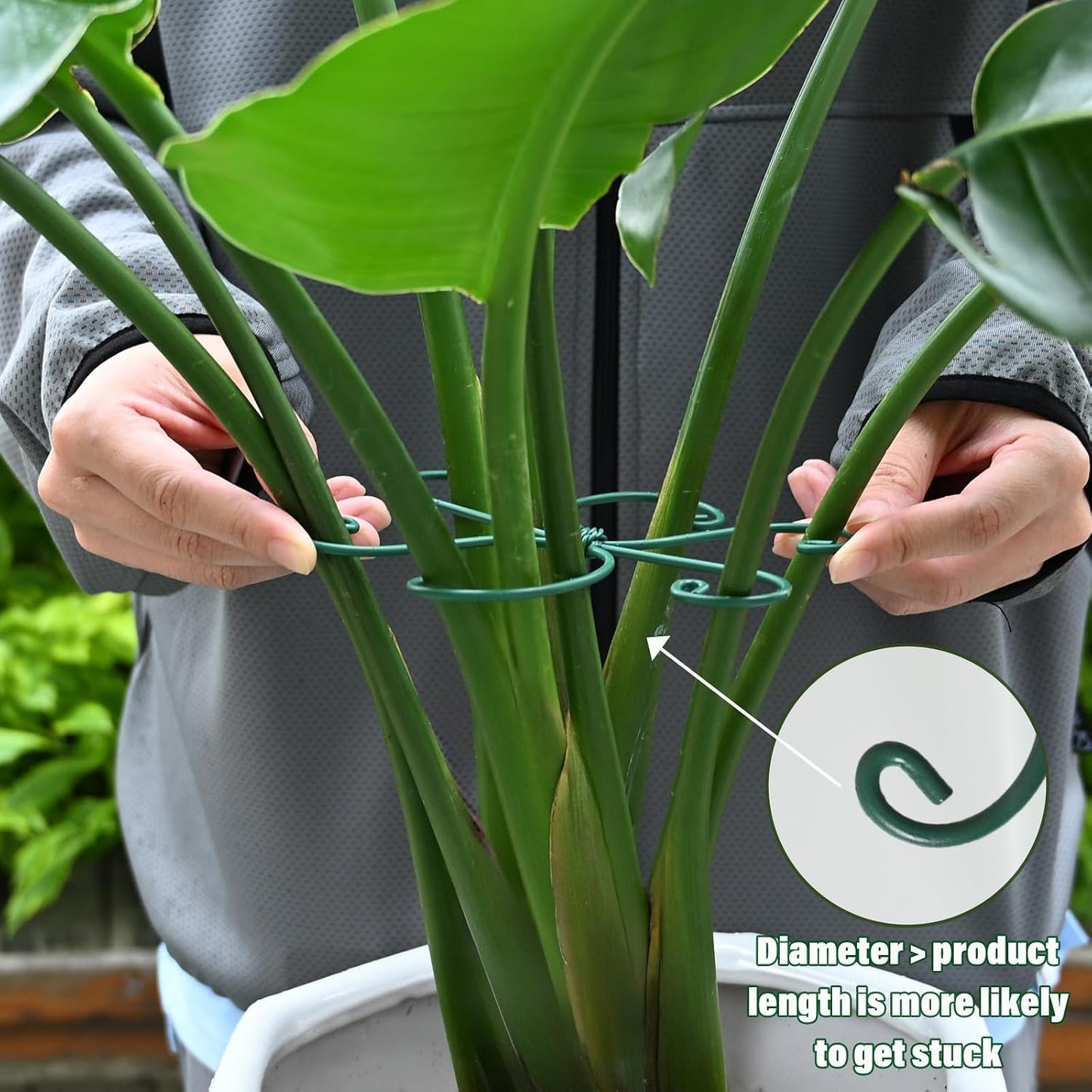 Yohsnor Monstera Plant Stem Support System - 5 Piece Set (5.5x4.7in) | Durable Plant Support Stakes for Climbing Plants & Fishbone Cactus | Ideal Leaf Stabilizer for Indoor Plants & Monstera Care