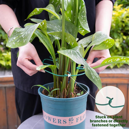 Yohsnor Monstera Plant Stem Support System - 5 Piece Set (5.5x4.7in) | Durable Plant Support Stakes for Climbing Plants & Fishbone Cactus | Ideal Leaf Stabilizer for Indoor Plants & Monstera Care
