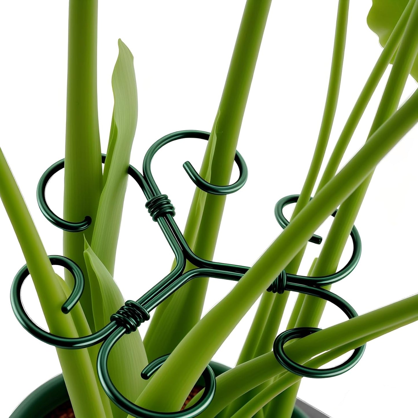 2Pack Green Iron Monstera Support,4.1 * 4.1IN Plant Support Stakes | for Indoor Plants,Durable Green Metal Plant Stem Supports-Easy Installation.