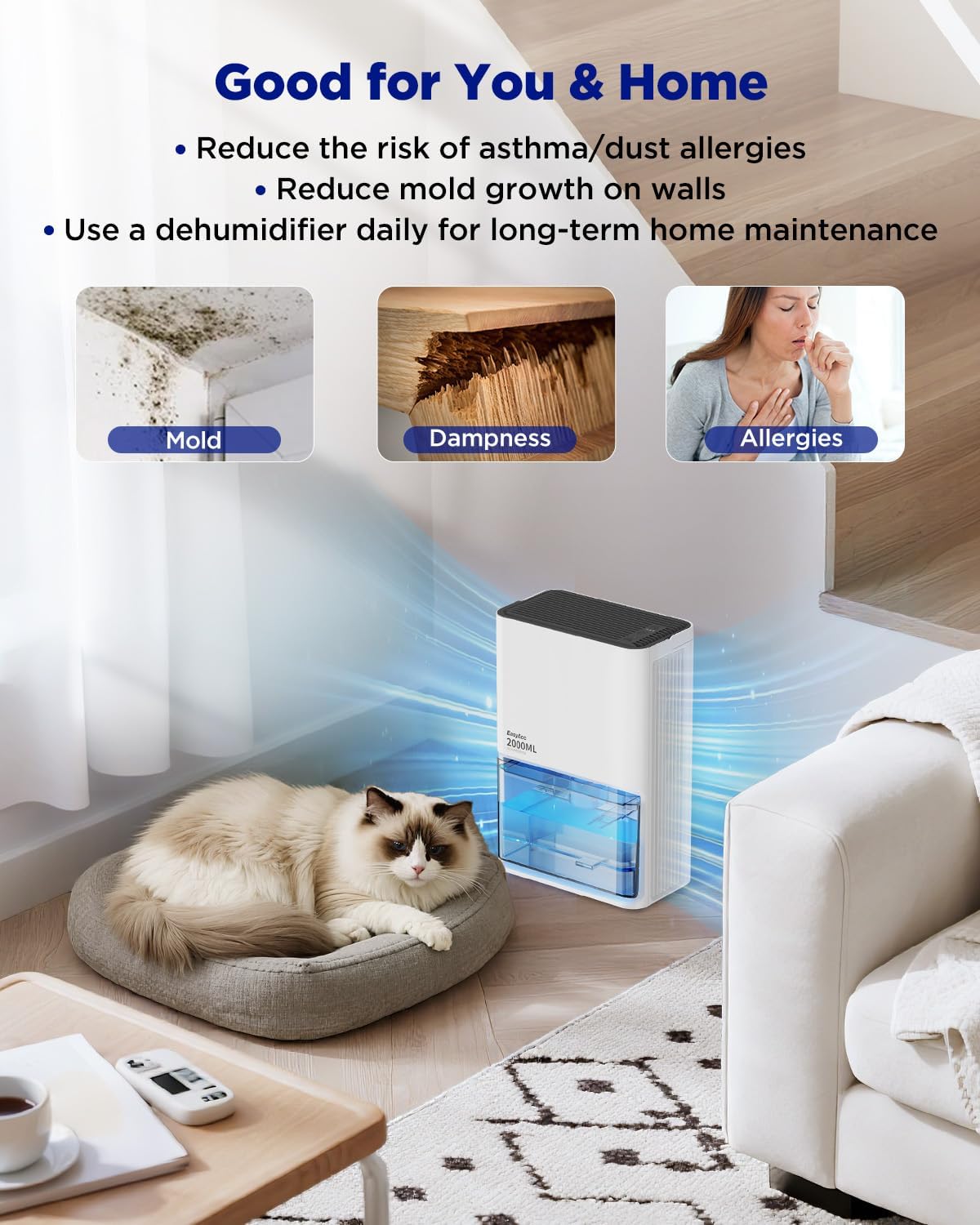 EasyAcc Bathroom Dehumidifier, 45 oz/Day Small Dehumidifier for Bathroom, Quiet Moisture Control Mini Dehumidifier for Home, Low-Temp Operation, Auto Shut-Off, 68 oz Tank, 7 LED Light for Closet RV