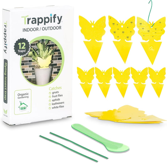 Trappify Gnat Traps for House Indoor and Outdoor | Fruit Fly Trap 50 Pack | Yellow color draws gnats to double-sided adhesive, traps on contact, stake or hang with hook wire, no scent just adhesive