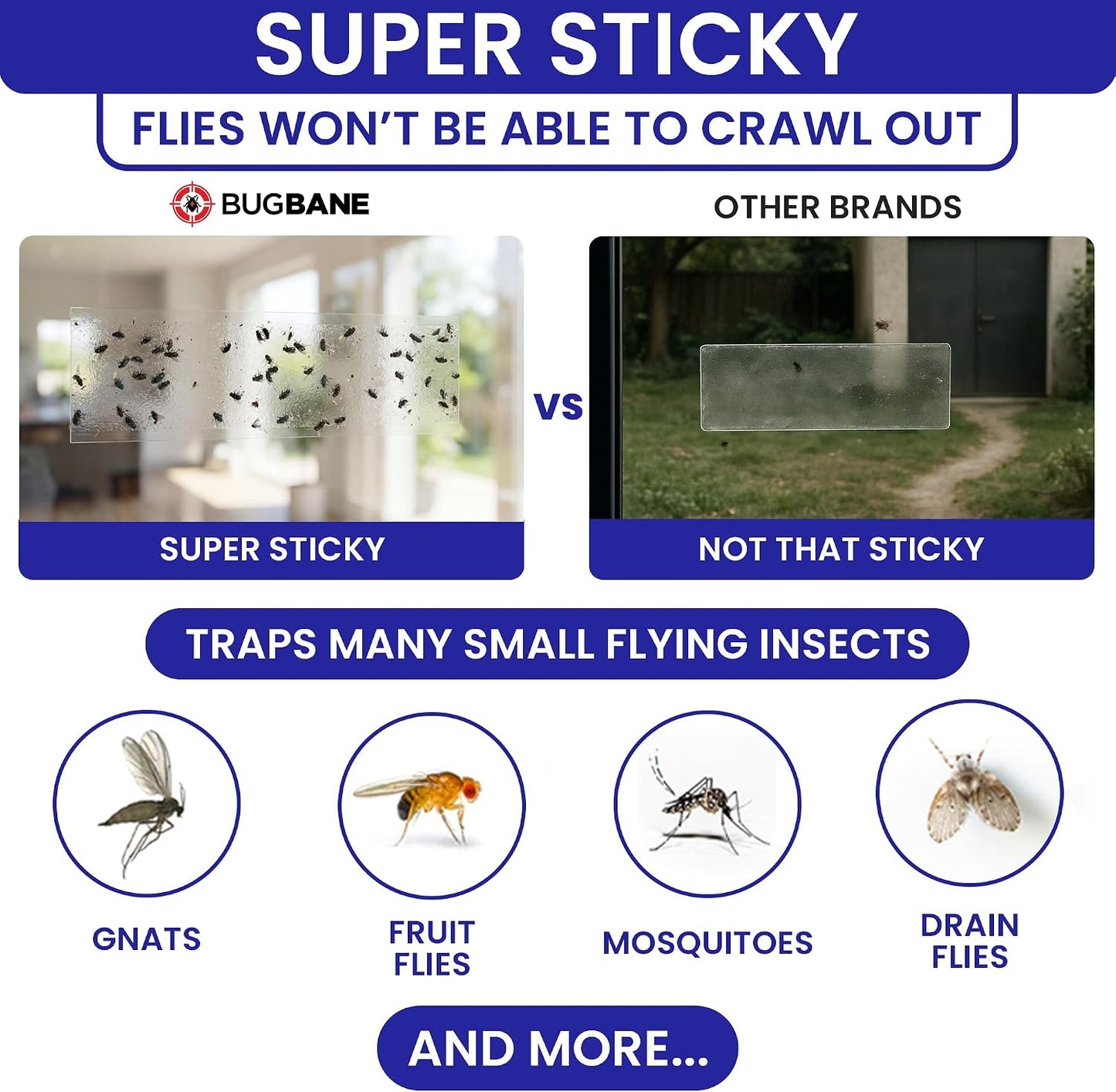 50 Window Fly Traps Sticky Non-Toxic Clear Fly Paper Indoor for Home. No Mess Flies Window Sticky Traps Bug Flies Strips Indoors. Fruit and Housefly Trap Indoor Flypaper Tape Gnat Catcher Killer.