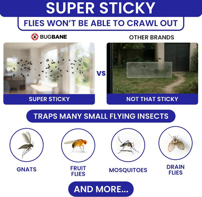 50 Window Fly Traps Sticky Non-Toxic Clear Fly Paper Indoor for Home. No Mess Flies Window Sticky Traps Bug Flies Strips Indoors. Fruit and Housefly Trap Indoor Flypaper Tape Gnat Catcher Killer.