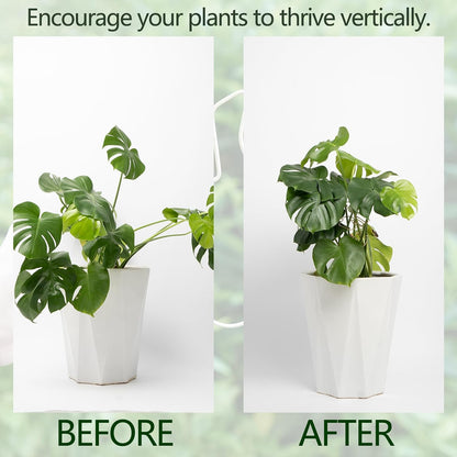 5PCS Monstera Plant Stem Support Stakes - 5.5 * 5.5IN Metal Supports for Monstera and Fishbone Cactus, Sturdy Frame, Easy Installation, Flexible Protection for Healthy Growth Indoors