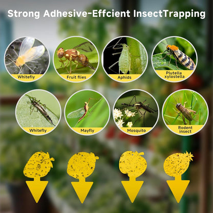 Fruit Fly Trap & Fungus Gnat Traps 40 Pack – Yellow Sticky Gnat Traps for House Indoor & Outdoor Plants, Non-Toxic and Odorless Insect Bug Catcher