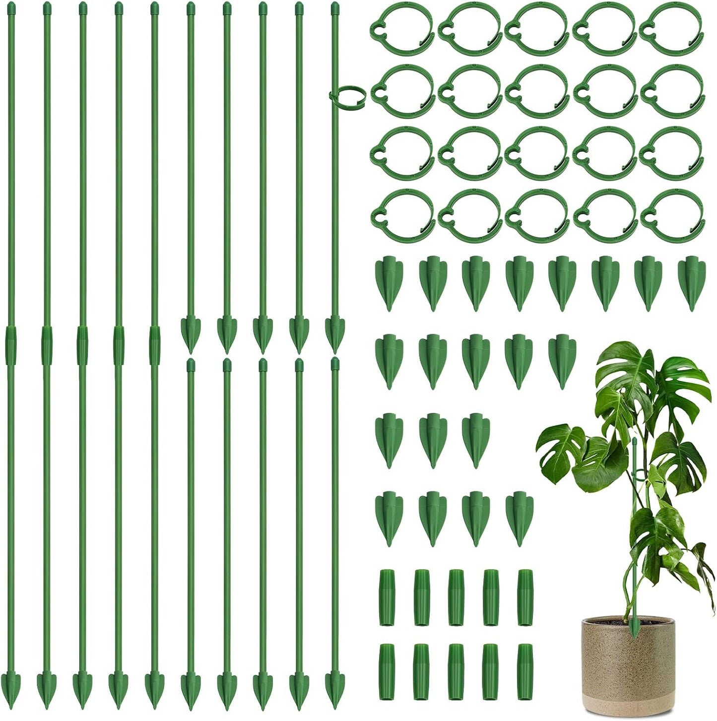 Plant Stakes, 20 Pcs Plant Sticks Stakes Support, Garden Stake Pole with Clips, Adjustable Plant Support with 20 Rings and 10 Connectors for Indoor and Outdoor Plants