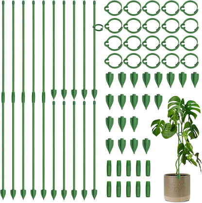 Plant Stakes, 20 Pcs Plant Sticks Stakes Support, Garden Stake Pole with Clips, Adjustable Plant Support with 20 Rings and 10 Connectors for Indoor and Outdoor Plants