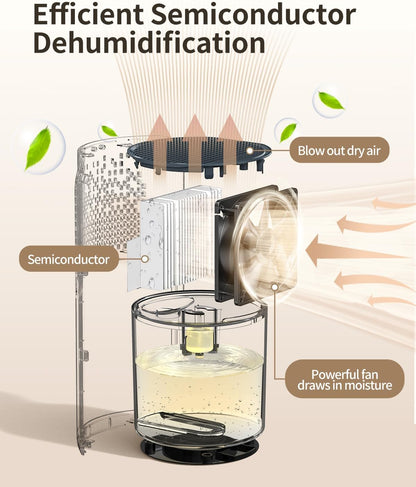 Small Dehumidifier for Bedroom, 42oz Dehumidifier with Auto Shut Off, Quiet Portable Dehumidifier for Bathroom, Closet, RV, 7 Color Night Light