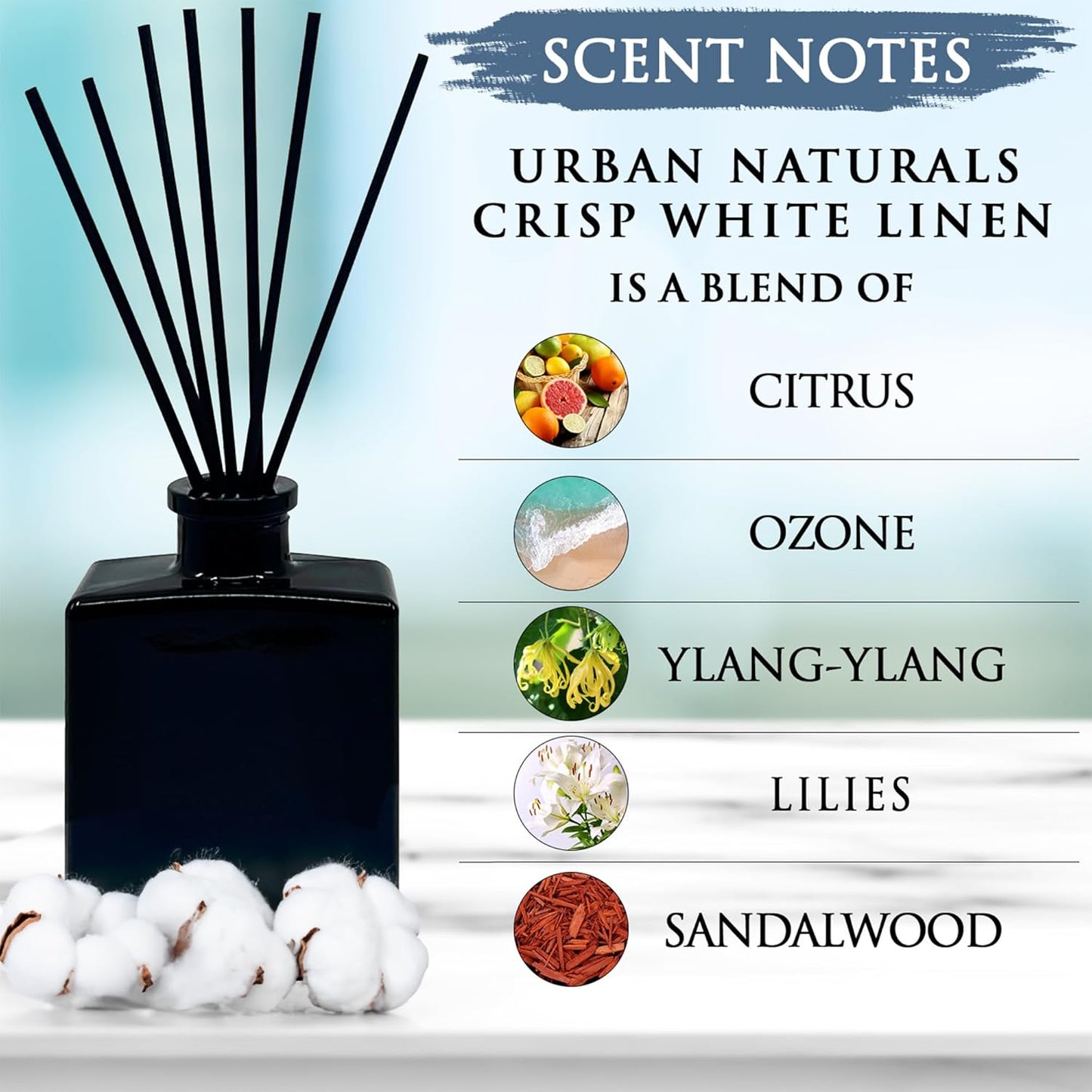 Urban Naturals Smoked Vanilla Reed Diffuser Set with Vanilla Bean, Sandalwood & Leather – 5 Ounce Sleek Black Rectangular Refillable Glass Bottle – Made in the USA