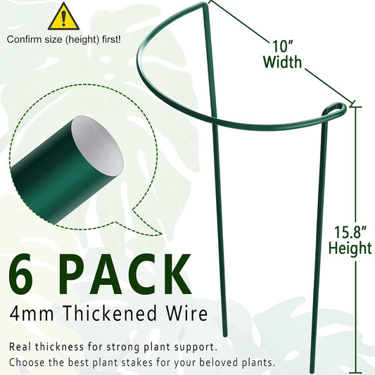6 Pack Detachable & Assemblable Metal Plant Support Stakes - Garden Support Ring, Tomato Seedling Cage, Young Monstera/Pothos for Growing Indoor/Outdoor (10" W x 16" H)