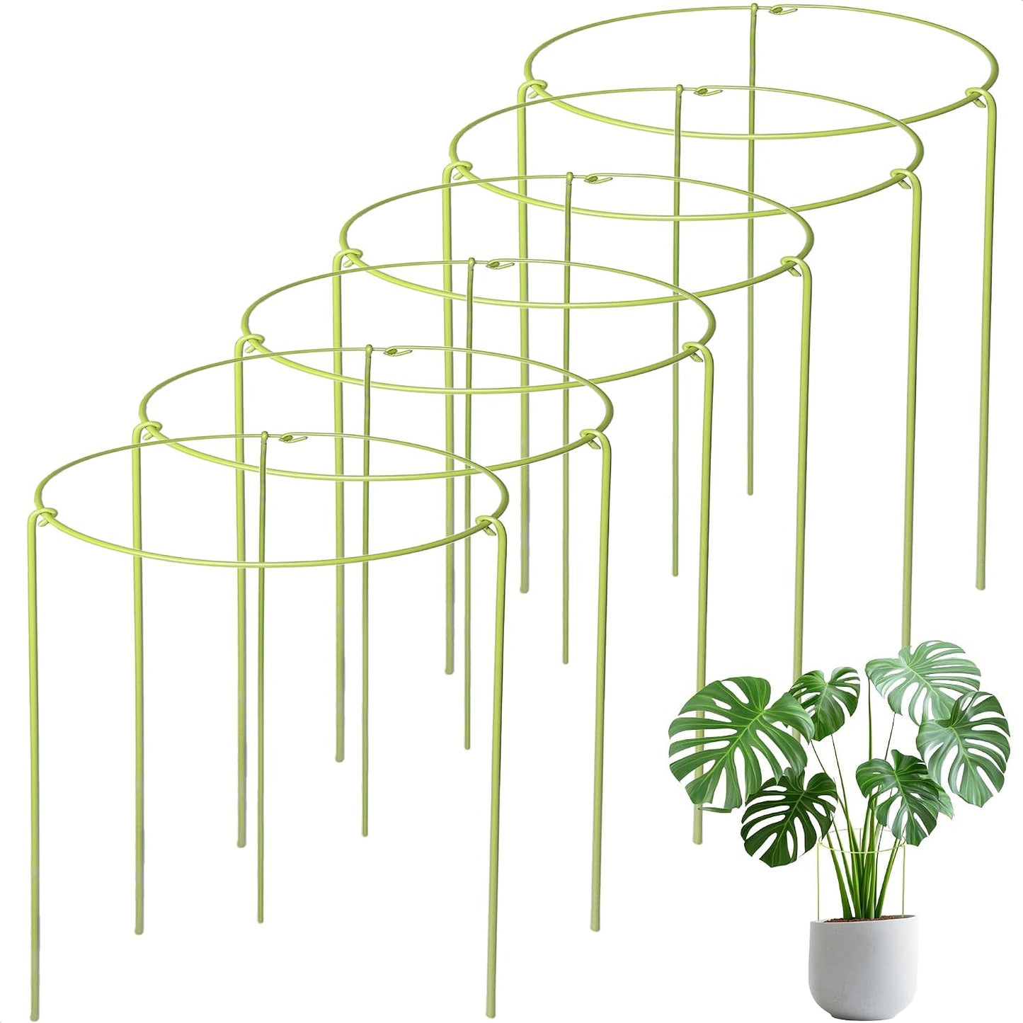 6-Pack Plant Support Stakes for Indoor Plants, Adjustable Monstera Cages & Snake Plant Support Rings, Potted Plant Supports Garden Stakes (6" W x 11" H)