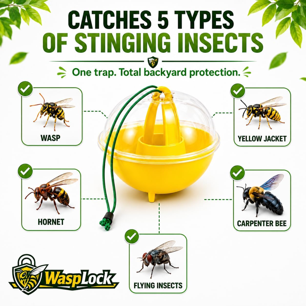 Wasp Trap Outdoor Hanging 3 Pack – Reusable Yellow Jacket & Hornet Catcher, No-Escape Funnel Design, Chemical-Free for Patio Garden BBQ Yard