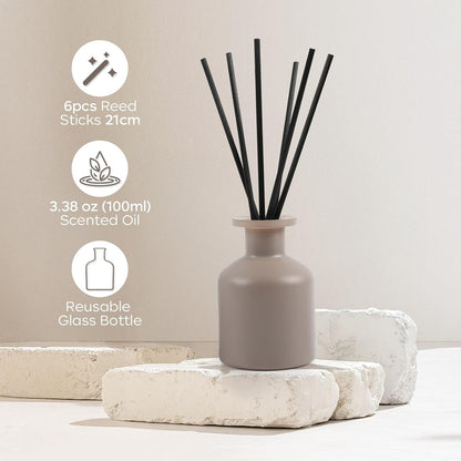 Reed Diffuser Set,Ocean Mist & Sea Salt Fragrance,100ml(3.38 fl.oz) with 6 Reed Sticks,Long-Lasting Oil Diffuser for Home,Office,Bathroom,Flame Free