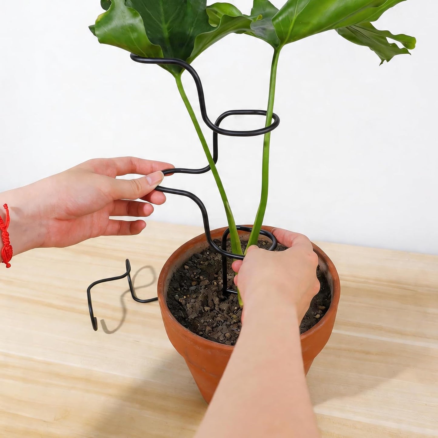 3PCS Indoor Plant Support – Durable Metal Garden Stakes for Monstera, Flowers & Herbs – 12.6 Inch Trellis for Indoor & Outdoor Plants, Easy-to-Use Support Structures